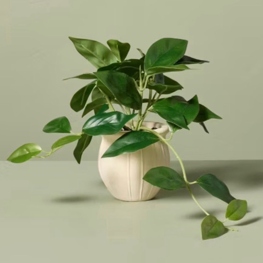 8" Faux Mini Trailing Hoya Plant - Hearth & Hand™ with Magnolia